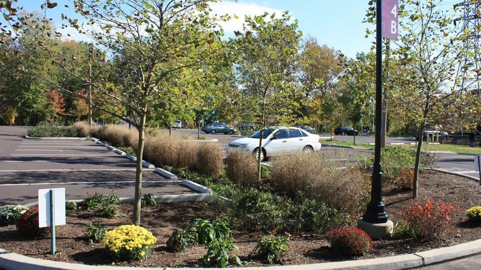 A landscaped parking lot area featuring small trees, shrubs, and colorful flowers including yellow and red blooms. A white car is parked in the background.