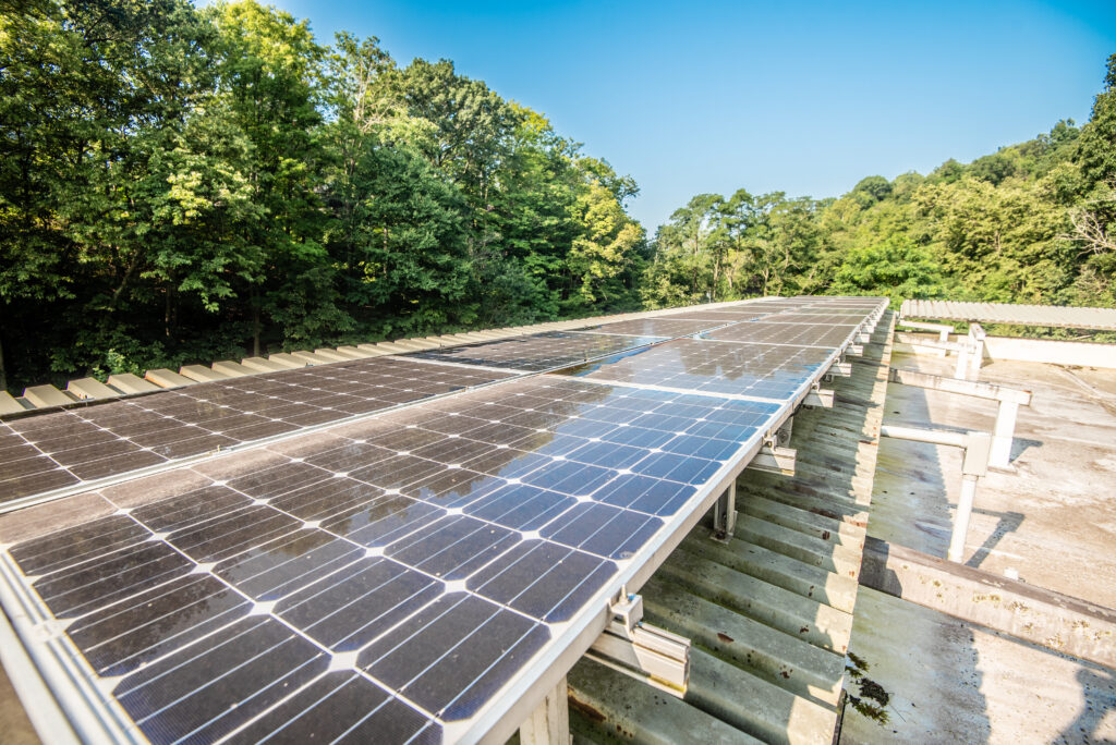 Solar panels installed on a rooftop, surrounded by trees and blue sky, capturing sunlight for energy generation.